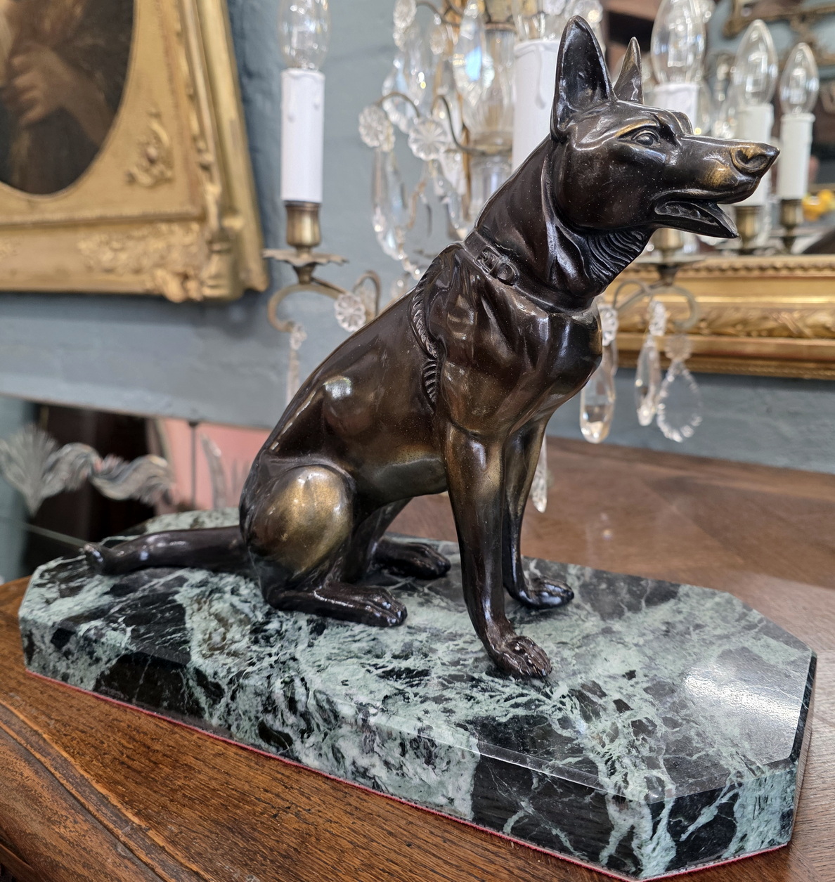 A French Alsatian Dog A French Alsatian Dog